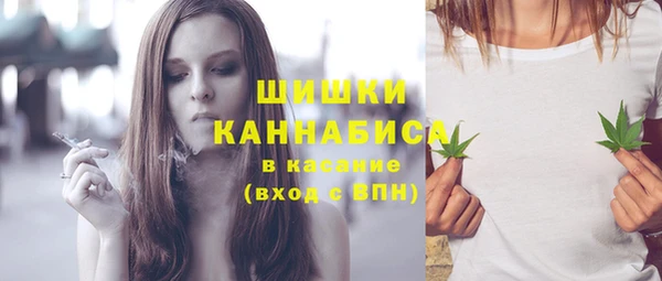 PSILOCYBIN Богданович