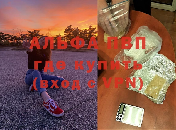 Альфа ПВП Бородино