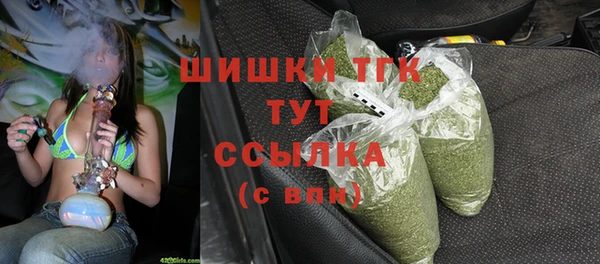 Альфа ПВП Бородино