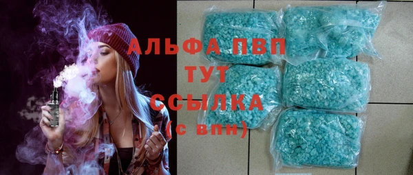 PSILOCYBIN Богданович
