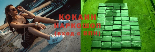Альфа ПВП Бородино