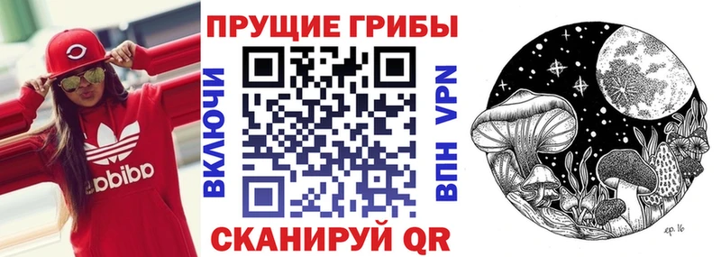 Галлюциногенные грибы мицелий  Свободный 